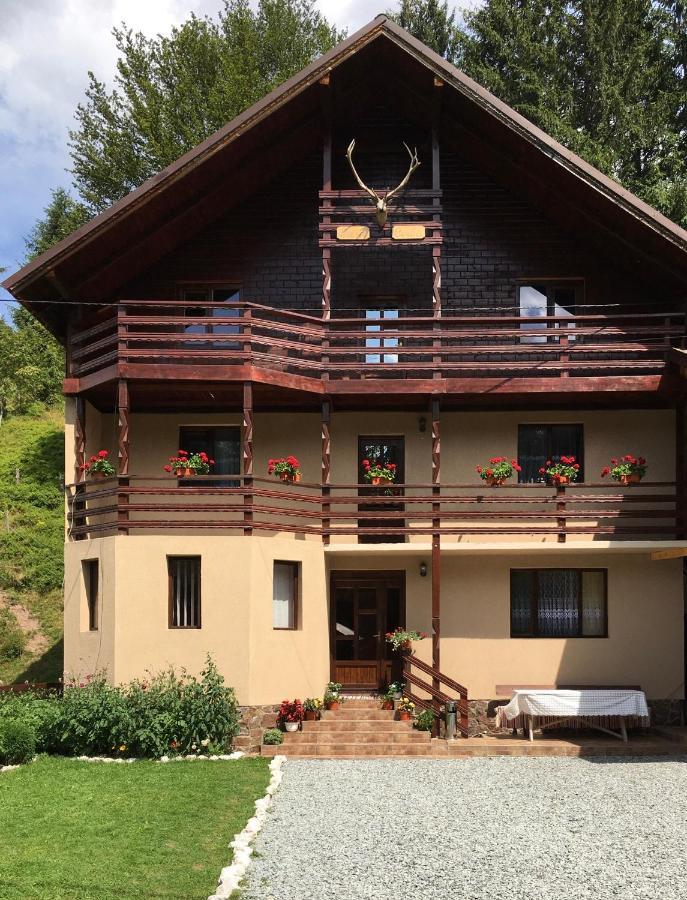 Casa Cerbu *