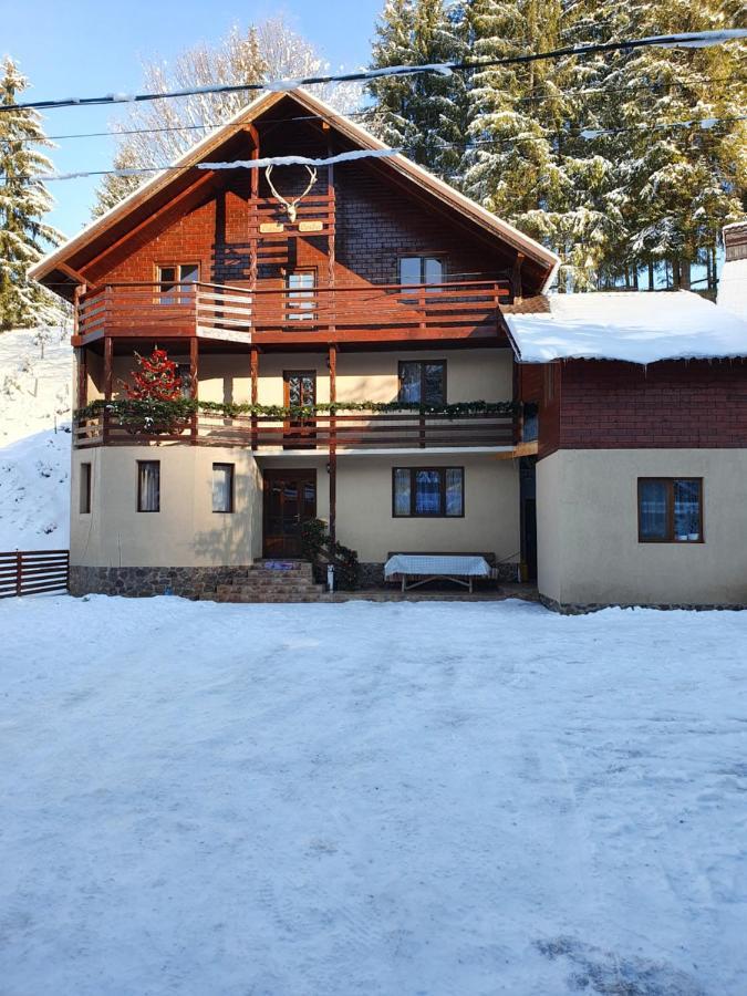 Casa Cerbu * Arieseni