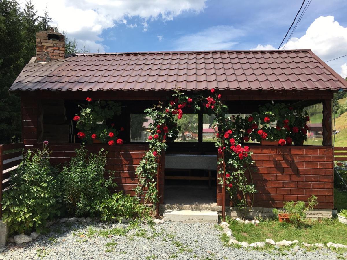 Casa Cerbu Arieseni